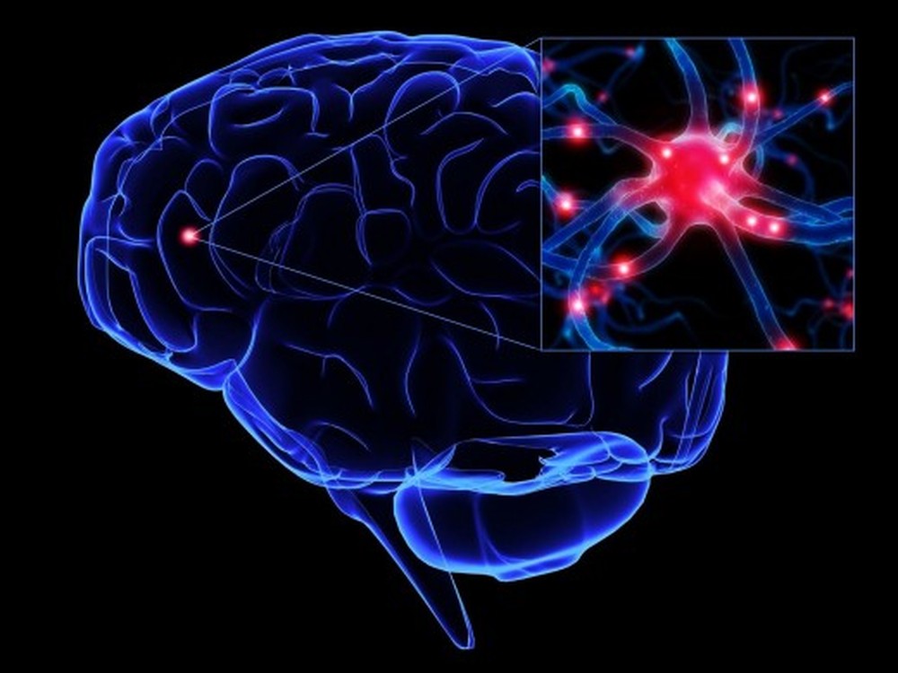 Dia Internacional da Esclerose Lateral Amiotrófica: brasileiros participam de pesquisa sobre genes da ELA